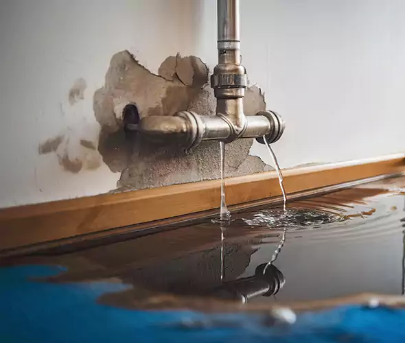 Professional Water Damage Restoration Experts in Plainfield, NJ — Fast, Reliable & Certified