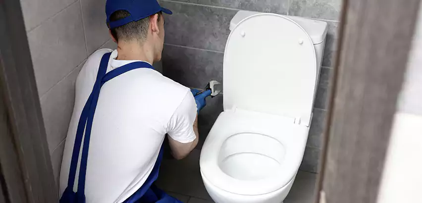 Toilet Lid Replacement in Plainfield