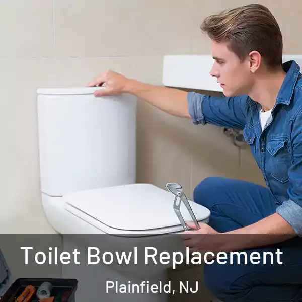  Toilet Bowl Replacement Plainfield, NJ